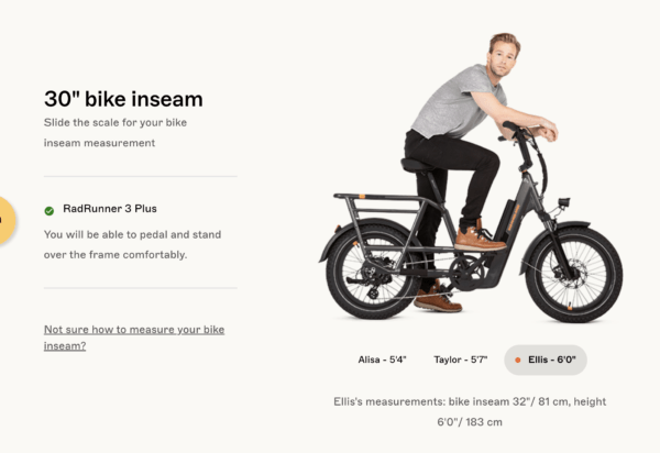 RadRunner 3 Plus Electric Utility Bike - Image 11